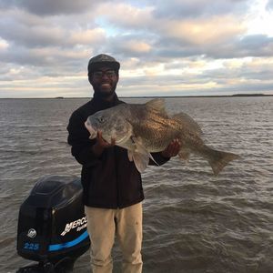 Meet your Posher, Arnold